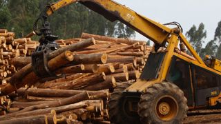 Conservation Deforestation