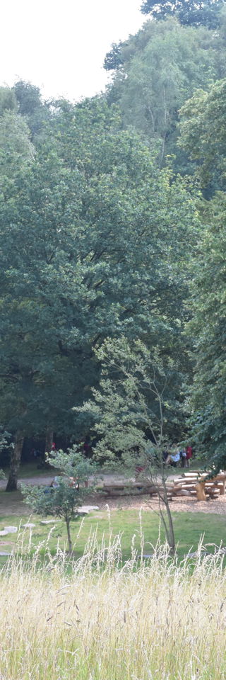 DSC 6855