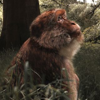 Harry Jackson 1 Scaled