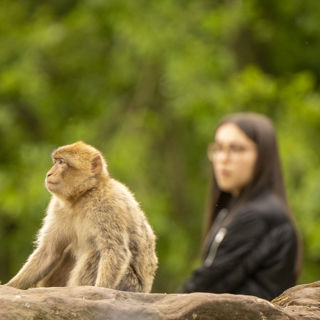 College student near a monkey