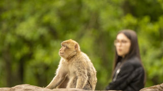 College student near a monkey