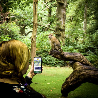 Mobile Optimised For Site (3) 4