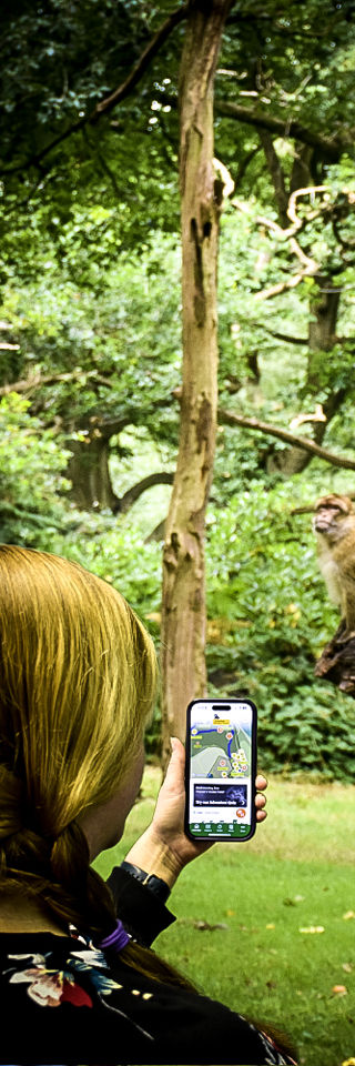 Mobile Optimised For Site (3) 4