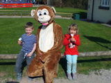 Monkeyforest50 E1494599601313