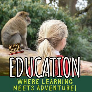 Our Monkey Live Stream! (6)