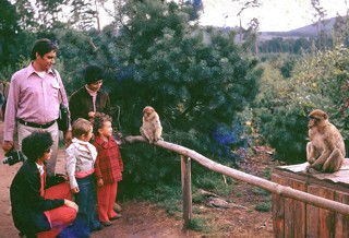 Photo3 De1972pierrehotz@Mail.Pf