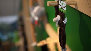 Trentham Monkey Forest Shop
