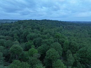 DJI 20250519053559 0006 D