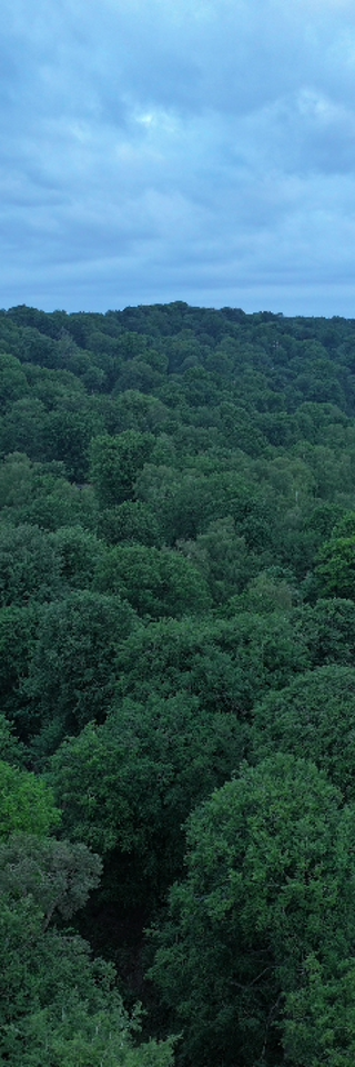 DJI 20250519053559 0006 D