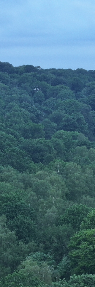 DJI 20250519053634 0017 D