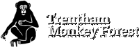 Tmf Logo Transparent